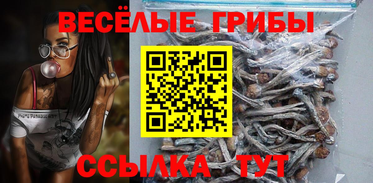 Псилоцибиновые грибы Cubensis Ковров
